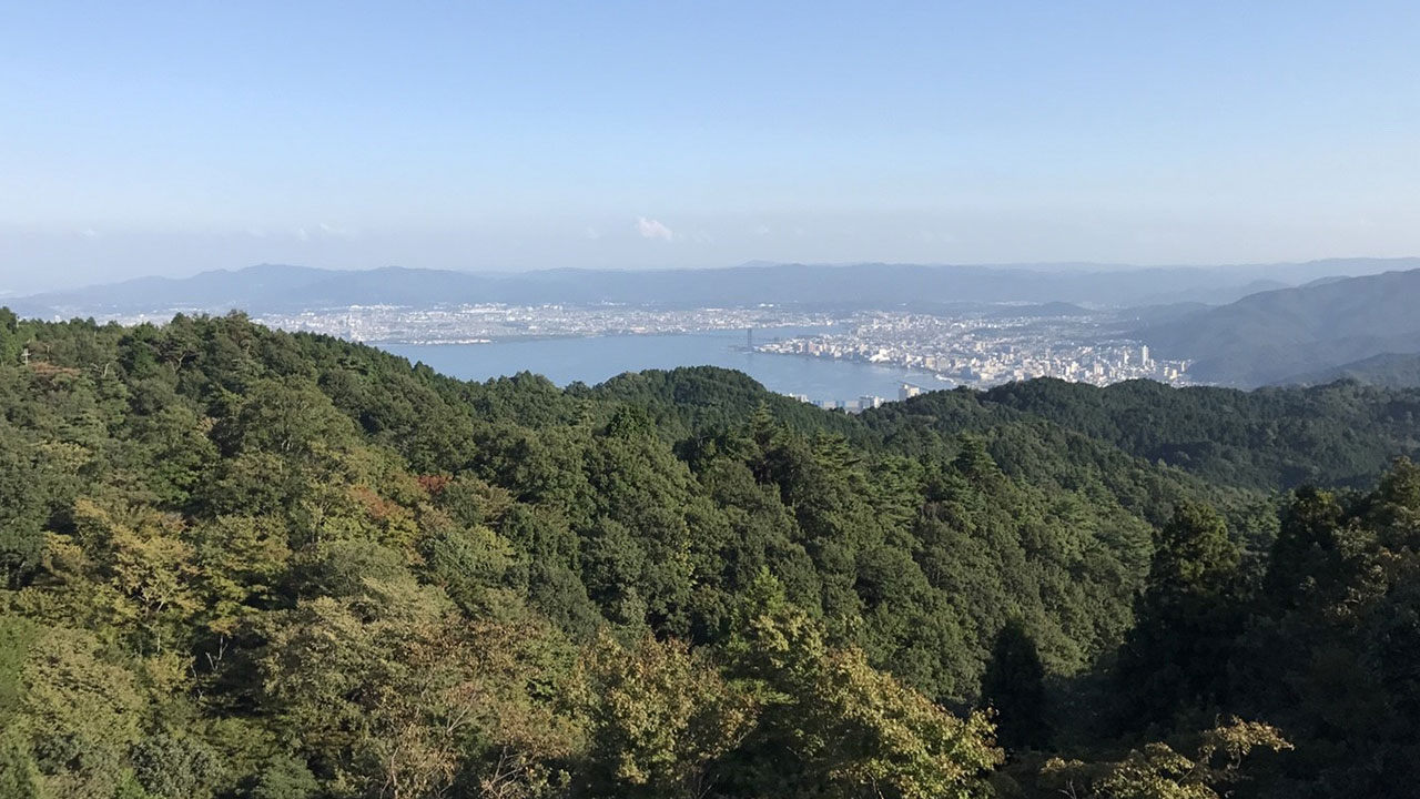 Silver Mist sample 1